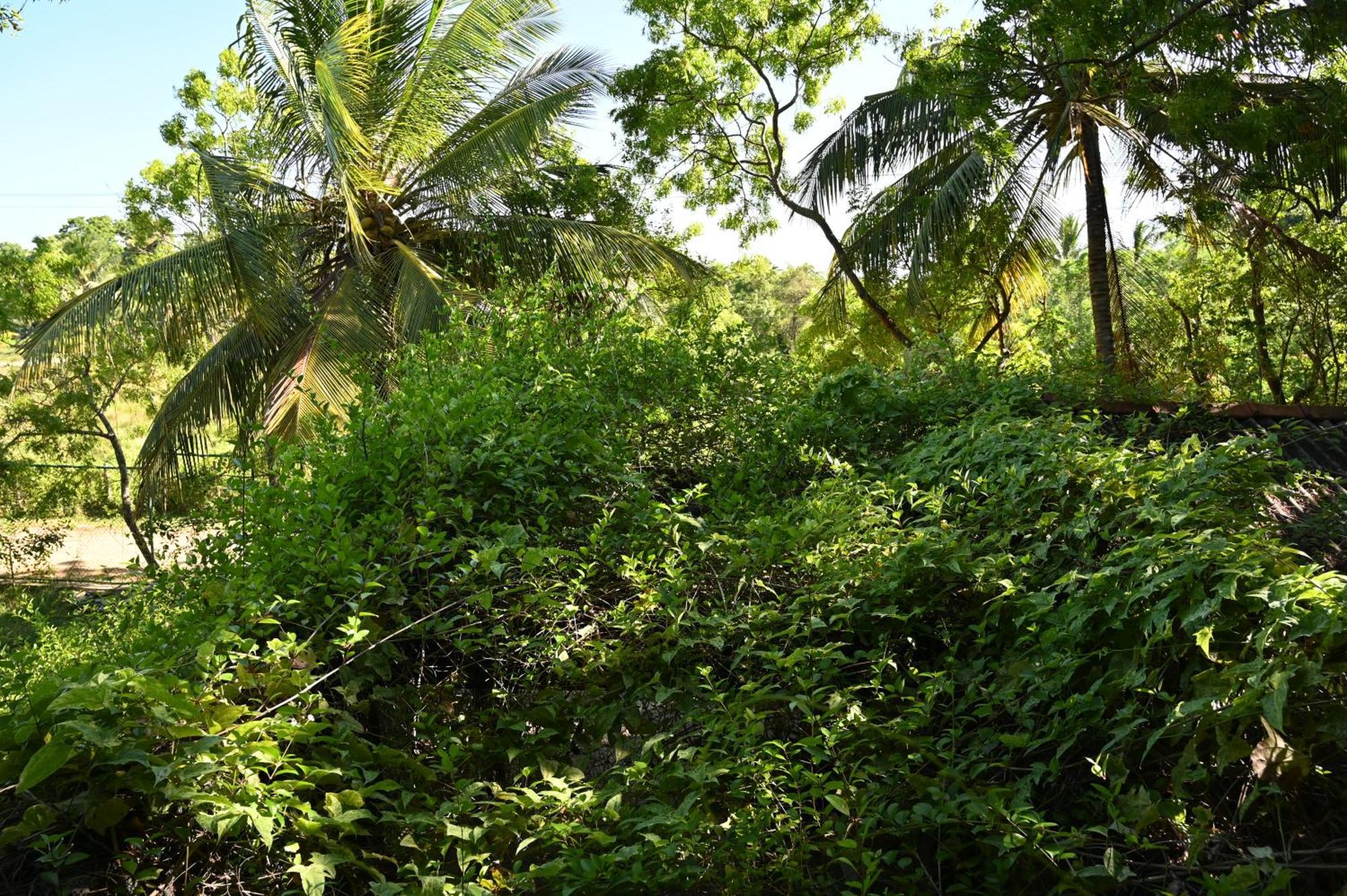 Breezy Lake Tissamaharama Exterior photo